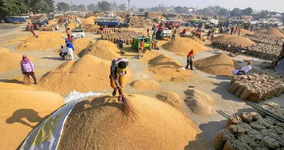 Buy Paddy: Paddy purchase figure in Chhattisgarh crossed 107 lakh metric tonnes, payment of more than 22 thousand crores to farmers