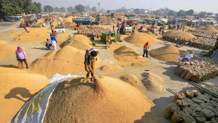 Buy Paddy: Paddy purchase figure in Chhattisgarh crossed 107 lakh metric tonnes, payment of more than 22 thousand crores to farmers