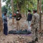 CG NEWS : जंगल में मिली महिला की सड़ी गली लाश, मचा हड़कंप  