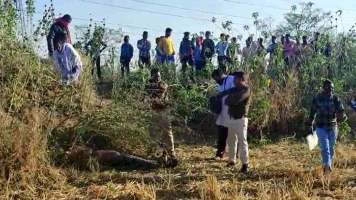 CG CRIME: There was a stir after the dead body of an unknown youth was found on the roadside, the police feared murder