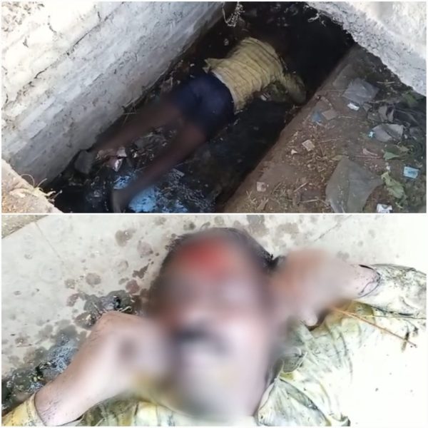 CG NEWS : नशे की हालत में नाली में गिरा सुरक्षाकर्मी, दम घुटने से हुई मौत 