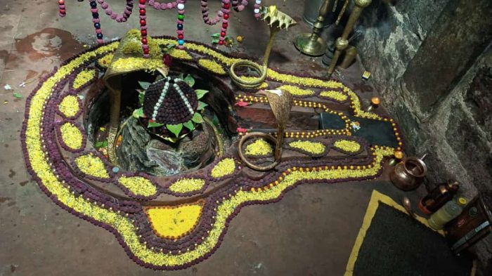 Maghi Punni Fair: On Vijaya Ekadashi, Kuleshwarnath Mahadev was decorated with Rudraksh, devotees thronged the Rajivlochan temple
