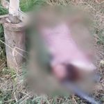 RAIPUR CRIME NEWS : 12 साल की बच्ची को घर में अकेला पाकर नाबालिग लड़के ने किया दुष्कर्म का प्रयास, असफल होने पर कर दी हत्या, अब गिरफ्तार 