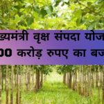 CG NEWS: Provision of Rs 100 crore in the budget for the successful implementation of Chief Minister's Tree Estate Scheme, annual income of Rs 15 to 50 thousand per acre to the farmers