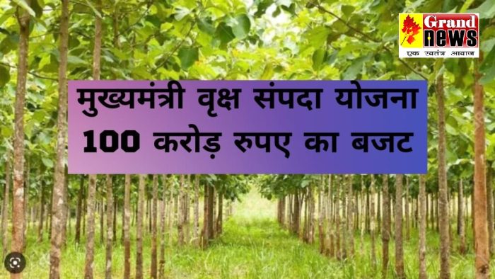 CG NEWS: Provision of Rs 100 crore in the budget for the successful implementation of Chief Minister's Tree Estate Scheme, annual income of Rs 15 to 50 thousand per acre to the farmers
