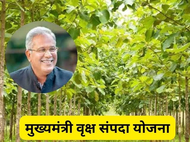 RAIPUR NEWS : “Chief Minister Tree Estate Scheme” : Under the scheme, interested land owners of all classes will be eligible, special incentive for the cultivation of these 5 tree species