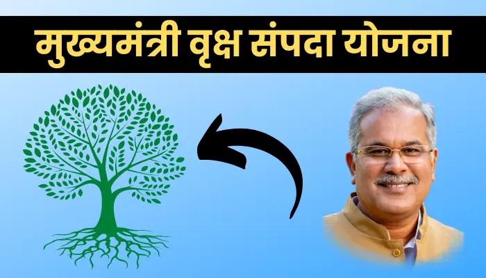 CG NEWS: Special initiative to promote commercial tree plantation in Chhattisgarh, "Chief Minister's Tree Estate Scheme" will be implemented soon, preparations of Forest Department in full swing