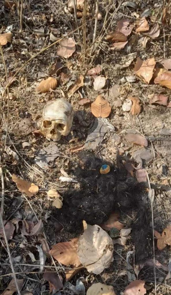 CG NEWS: Woman's skeleton found in forest, stir, police engaged in identifying clothes