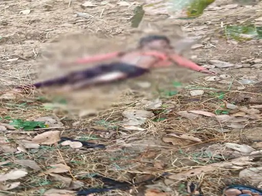 CG NEWS : वज्रपात की चपेट में आने से 14 साल के नाबालिग लड़के की मौत, दूसरा झुलसा 