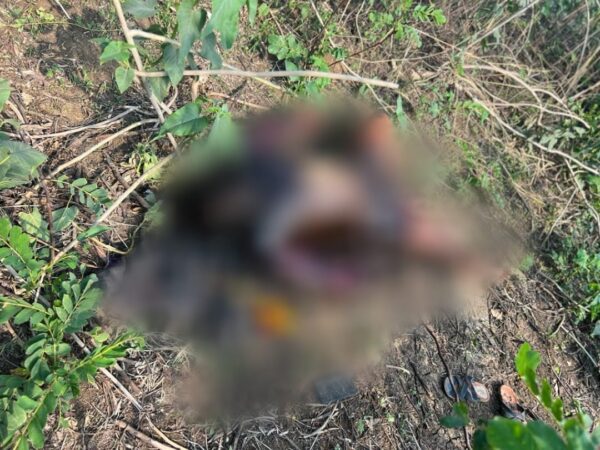 RAIPUR NEWS : अधनग्न अवस्था में मिली युवक की सड़ी गली लाश, इलाके में फैली सनसनी, जांच जारी 