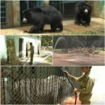 CG NEWS : भीषण गर्मी से लोग हलाकान, मैत्री बाग में जानवरों को बचाने के लिए किए गए खास इंतजाम