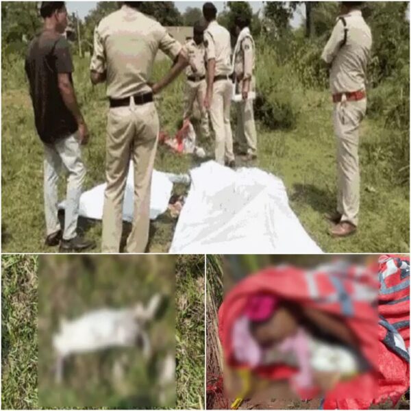 CG CRIME NEWS : नाले के पास अर्धनग्न हालत में मिली लड़की और बच्चे की लाश, मुंह में ठूंसा गया था कपड़ा, हत्या की आशंका