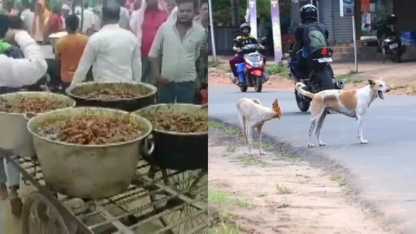 INTERESTING NEWS : बीजेपी के वरिष्ठ नेता का आरोप - पार्टी में हजारों लोगों को दी गई मीट पार्टी, लेकिन शहर से हजारों कुत्ते गायब
