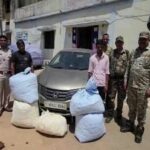 CG CRIME: Two youths arrested for smuggling 118 kg of marijuana, the accused had gone from Odisha to UP, car seized along with mobile