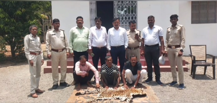 Surajpur Breaking : वन विभाग की बड़ी कार्रवाई, तेंदुए की खाल के साथ तीन आरोपी गिरफ्तार 