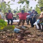 CG NEWS : दतैल हाथी ने अधेड़ को कुचला, मौके पर दर्दनाक मौत, वन विभाग के अधिकारियों पर लगा ये आरोप 