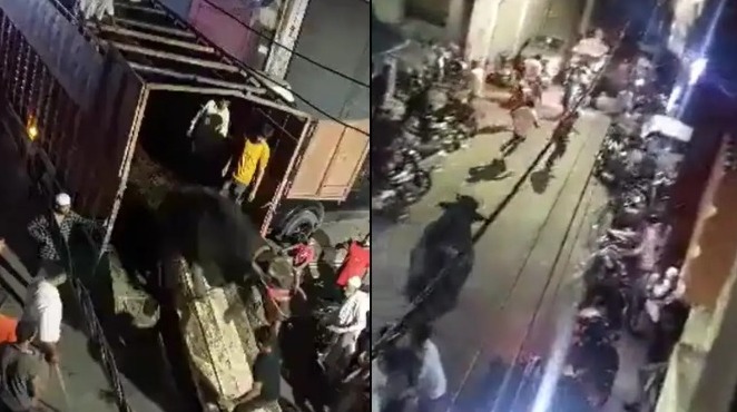 WATCH VIDEO : बकरीद में कुर्बानी के लिए लाया गया भैंसा, भीड़ देख हुआ बेकाबू, कई लोगों को उठाकर पटका, देखें VIDEO 