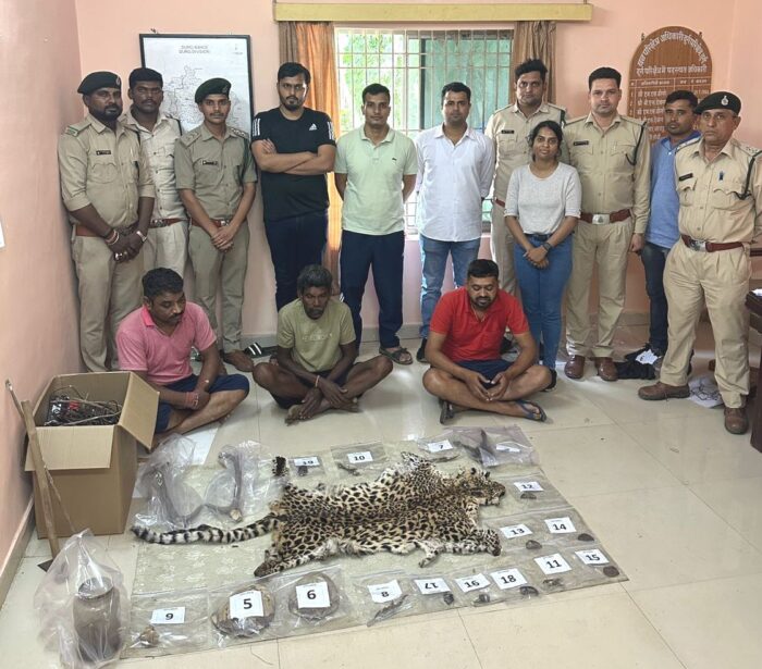 CG CRIME : वन विभाग को मिली बड़ी सफलता : बाघ की तस्करी करने वाले गिरोह गिरफ्तार, अभी तक 39 आरोपियों को भेजा गया जेल