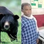 CG NEWS : जंगल में बकरी चराने गए एक ग्रामीण पर भालू ने किया हमला, गंभीर रूप से अस्पताल में भर्ती