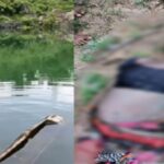 CG NEWS : मछली पकड़ना पड़ा महंगा : तेज बारिश और आंधी-तूफान में पलटी नाव, गहरे पानी में डूबने से महिला की मौत