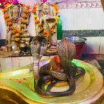 RAIPUR NEWS : सावन में हर साल भोलेनाथ के दर्शन को पहुँचता है नाग-नागिन का यह जोड़ा, कई रहस्यों से जुड़ा है यह मंदिर