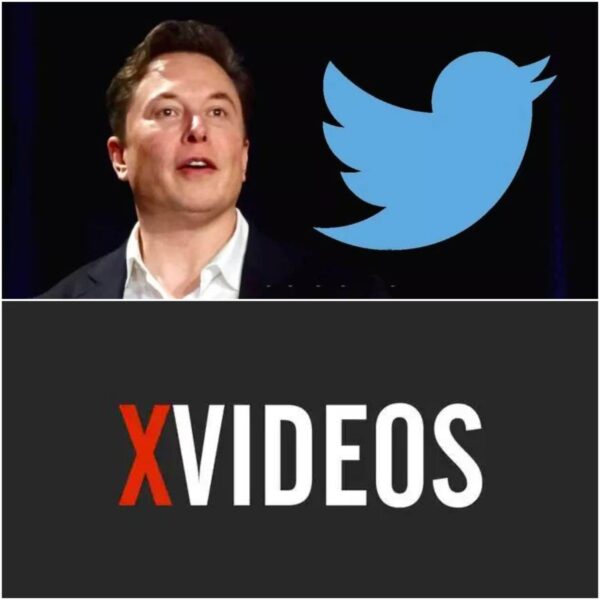 Twitter : उड़ गई ट्वीटर की चिड़िया, Twitter हुआ X, नाम और Logo चेंज, Xvideos कर रहा ट्रेंड  