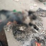 CG CRIME NEWS : मंदिर से त्रिशूल निकालकर युवक की निर्मम हत्या, फिर पेट्रोल डालकर जलाया शव, हत्यारों की तलाश जारी 