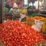 Tomato Price : टमाटर अभी रहेगा लाल, बढ़ेंगी कीमत, बारिश और आवक है महंगाई का कारण