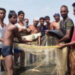 Fisheries : कोसगाई दाई मछुआ सहकारी समिति के सदस्य कृषि के साथ मत्स्य पालन से कर रहे कमाई, व्यवसाय से 3 लाख से अधिक की हुई आय