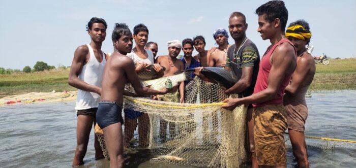 Fisheries : कोसगाई दाई मछुआ सहकारी समिति के सदस्य कृषि के साथ मत्स्य पालन से कर रहे कमाई, व्यवसाय से 3 लाख से अधिक की हुई आय