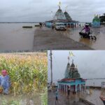 CG NEWS : प्रदेश में लगातार बारिश से महानदी ने मचाया तांडव, तटीय इलाकों के हजारों एकड़ फसल जलमग्न, फसल बचाने में लगे किसान