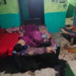 BIG CRIME NEWS : छग में 4 लोगों की निर्मम हत्या : फावड़ा से ताबड़तोड़ हमला कर पत्नी समेत 3 बेटियों को उतारा मौत के घाट, गांव में मचा हड़कंप, हत्यारा गिरफ्तार