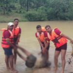 Surajpur Breaking : उफनते नाले को पार करते समय युवक पानी में बाह, डूबने से हुई मौत, मौके पर पहुंची NDRF की टीम 