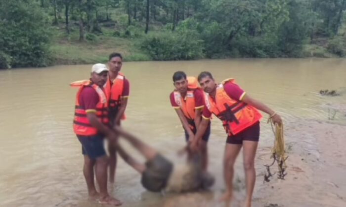 Surajpur Breaking : उफनते नाले को पार करते समय युवक पानी में बाह, डूबने से हुई मौत, मौके पर पहुंची NDRF की टीम 