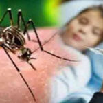 HELATH TIPS : बरसात के मौसम में बढ़ जाता है डेंगू, मलेरिया का खतरा, सोते समय करें मच्छरदानी का उपयोग
