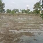 CG NEWS : रोपाई में आई तेजी : इस बारिश ने दिया फसलों को जीवनदान, किसानों के चेहरे में खुशी की लहर
