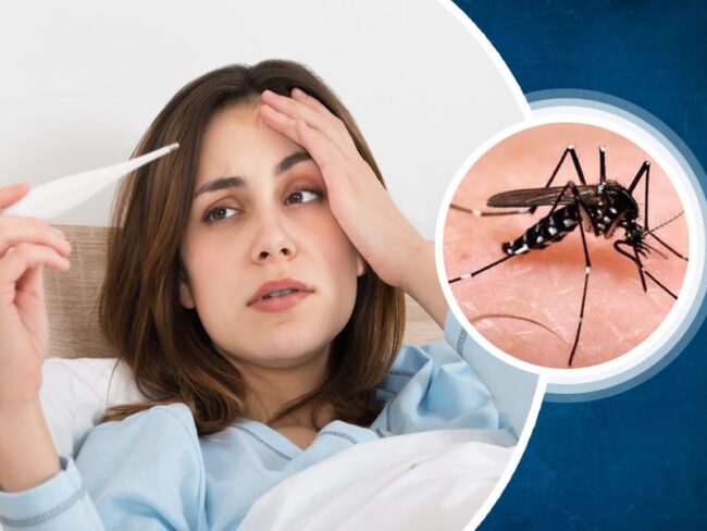 CG NEWS : 546 मरीज डेंगू को मात देकर हुए स्वस्थ 145 मरीजों का इलाज जारी, जानिए लक्षण और उपाय