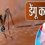 CG NEWS : शहर में डेंगू 67 तो मलेरिया का आंकड़ा पहुंचा 52, अलर्ट मोड पर स्वास्थ्य विभाग