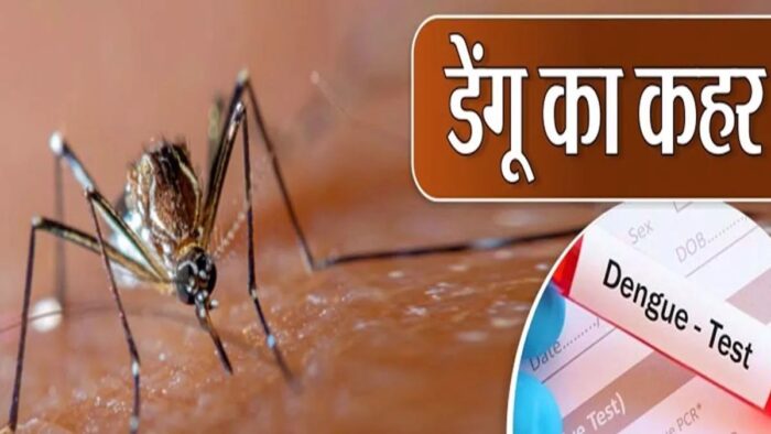 CG NEWS : शहर में डेंगू 67 तो मलेरिया का आंकड़ा पहुंचा 52, अलर्ट मोड पर स्वास्थ्य विभाग