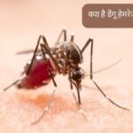 Dengue : डेंगू को हल्के में न लें, इस स्टेज में जा सकती है जान, जानें लक्षण और सावधानियां