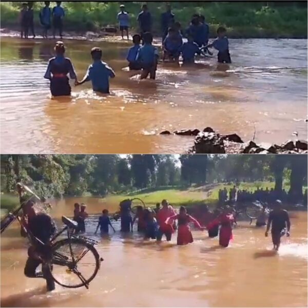 CG NEWS : जान जोखिम में डालकर उफनती नदी पार कर स्कूल पहुंच रहे बच्चे, देखें VIDEO 