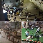 RAIPUR CRIME NEWS : रायपुर में बलवा, दो गूंटो में हुआ विवाद, युवकों ने रातभर की जमकर तोड़फोड़, देखें VIDEO   
