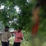 CG NEWS : महुआ के पेड़ पर फंदे से लटकती मिली 8वीं की छात्रा की लाश, हर एंगल से हो रही जांच 