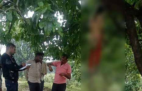 CG NEWS : महुआ के पेड़ पर फंदे से लटकती मिली 8वीं की छात्रा की लाश, हर एंगल से हो रही जांच 