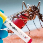 MP DENGUE NEWS : प्रदेश में थमने का नाम नहीं ले रहा डेंगू, 24 घंटे में 14 बच्चों समेत 51 मरीजों की पुष्टि