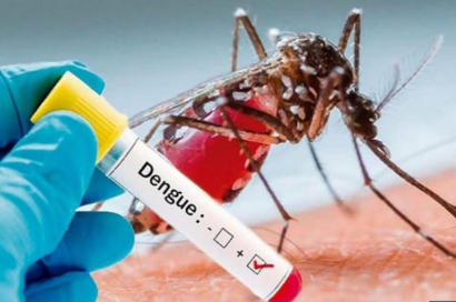 MP DENGUE NEWS : प्रदेश में थमने का नाम नहीं ले रहा डेंगू, 24 घंटे में 14 बच्चों समेत 51 मरीजों की पुष्टि