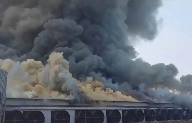 CG BIG NEWS : शॉर्ट सर्किट से पोल्ट्री फार्म में लगी भीषण आग, करोड़ों का नुकसान