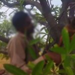 CG SUICIDE NEWS : पेड़ पर फांसी के फंदे में लटकता मिला व्यक्ति की लाश, क्षेत्र में फैली सनसनी, जांच में जुटी पुलिस