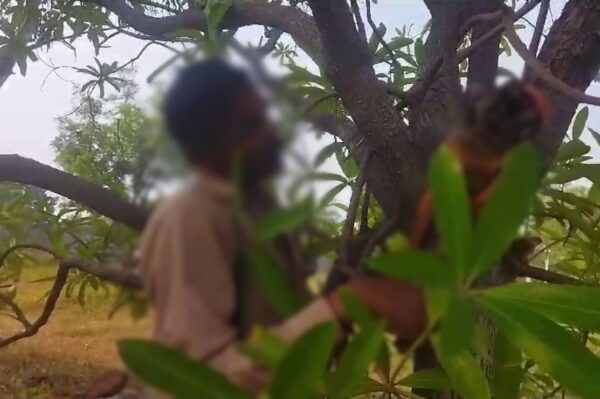 CG SUICIDE NEWS : पेड़ पर फांसी के फंदे में लटकता मिला व्यक्ति की लाश, क्षेत्र में फैली सनसनी, जांच में जुटी पुलिस
