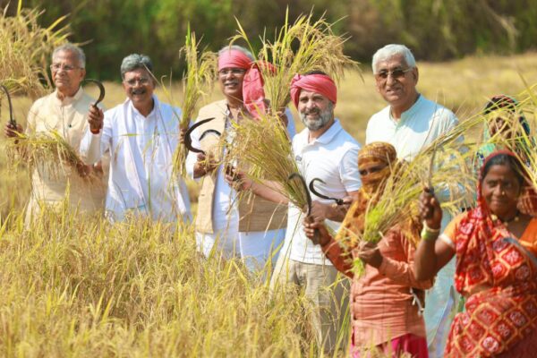 CG BREAKING : नवा रायपुर में किसानों से मिले राहुल गांधी, धान काटते हुए आए नजर, देखें फोटोज 